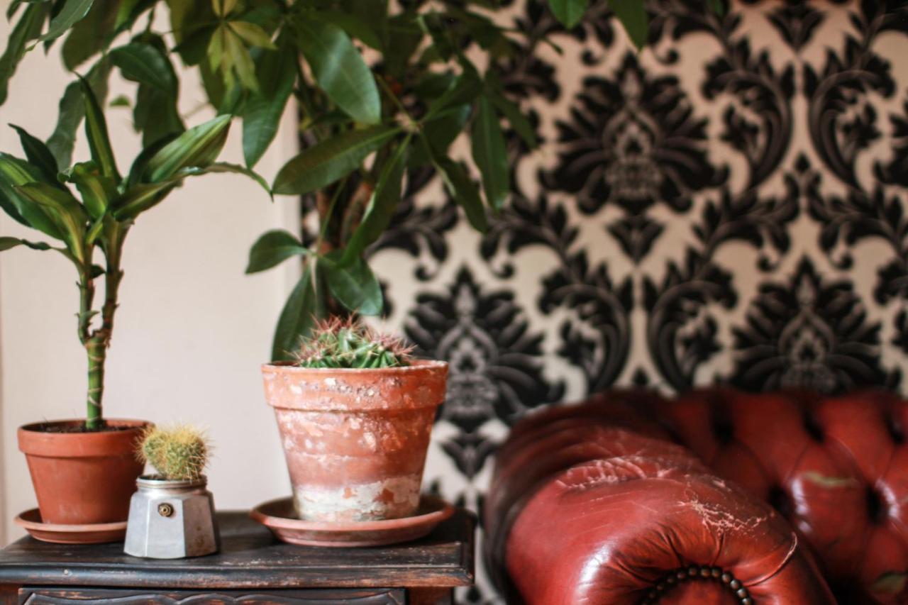 Coliving Trastevere โรม ภายนอก รูปภาพ
